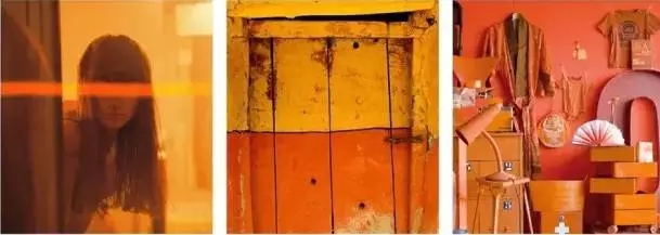 2017色彩趨勢分析